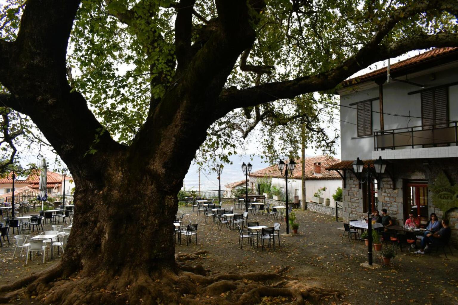 το φαραγγι του παρνασσου Διαμέρισμα *