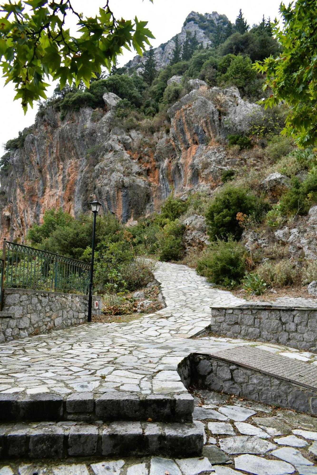 το φαραγγι του παρνασσου Διαμέρισμα *